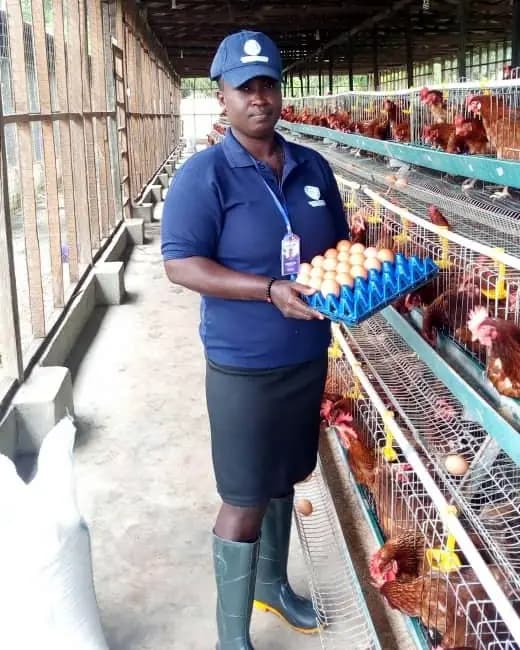 A team member in a navy polo holding a tray of eggs